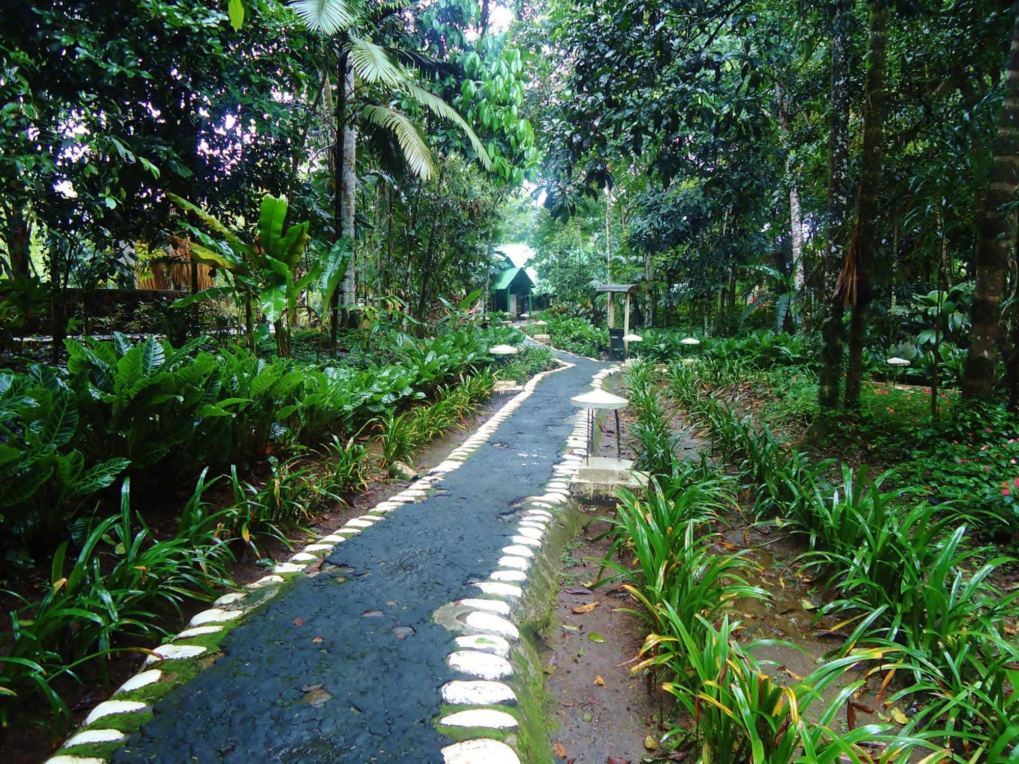 Hosteria El Paraiso De Las Orquideas Archidona エクステリア 写真