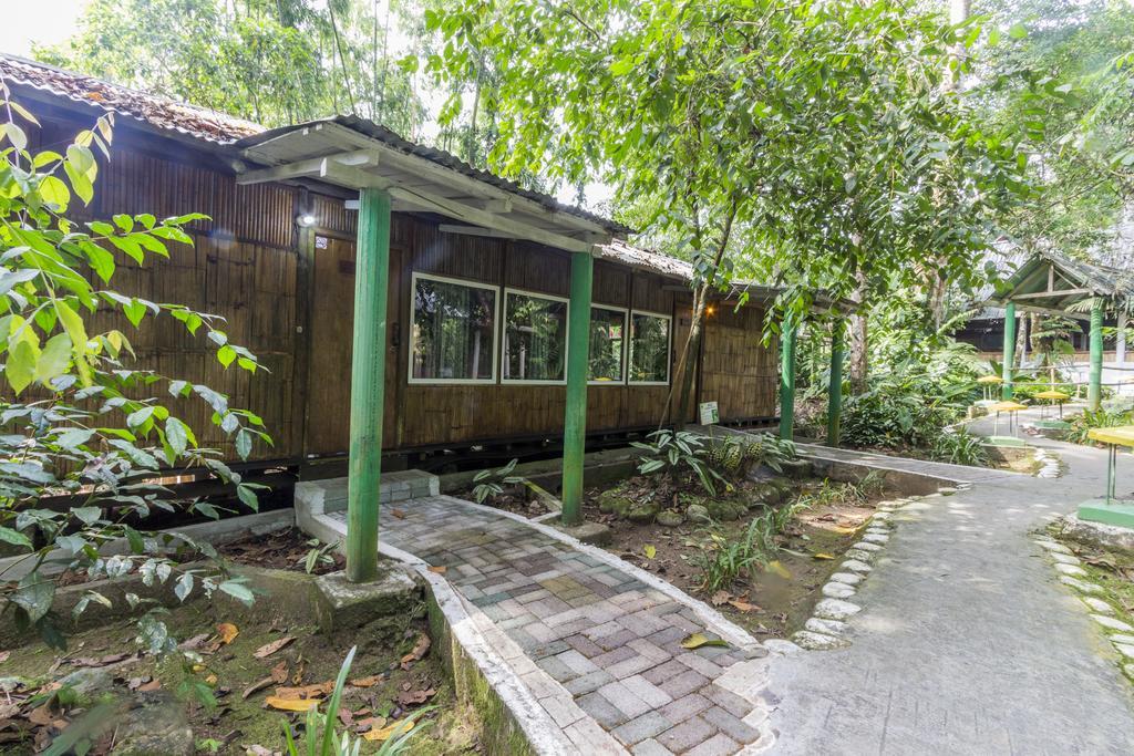 Hosteria El Paraiso De Las Orquideas Archidona エクステリア 写真