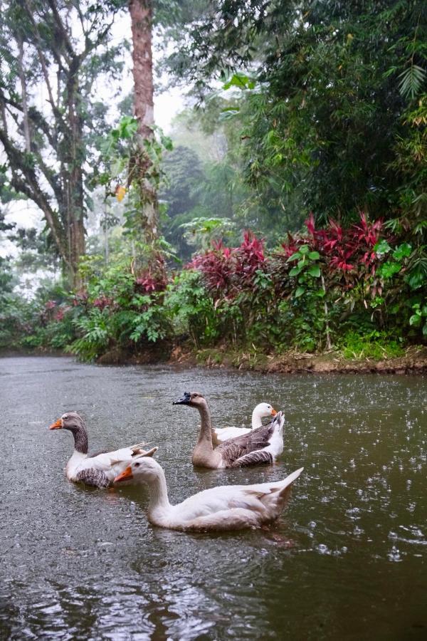 Hosteria El Paraiso De Las Orquideas Archidona エクステリア 写真