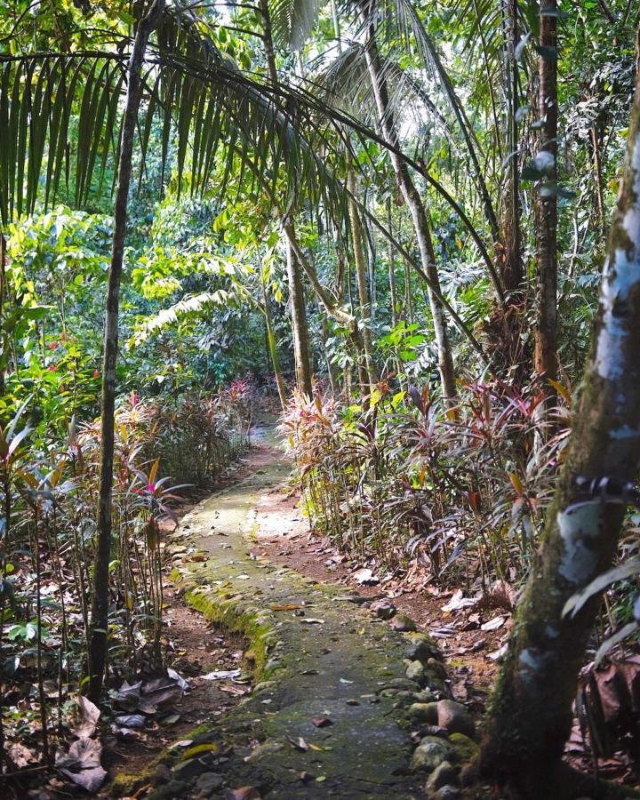 Hosteria El Paraiso De Las Orquideas Archidona エクステリア 写真